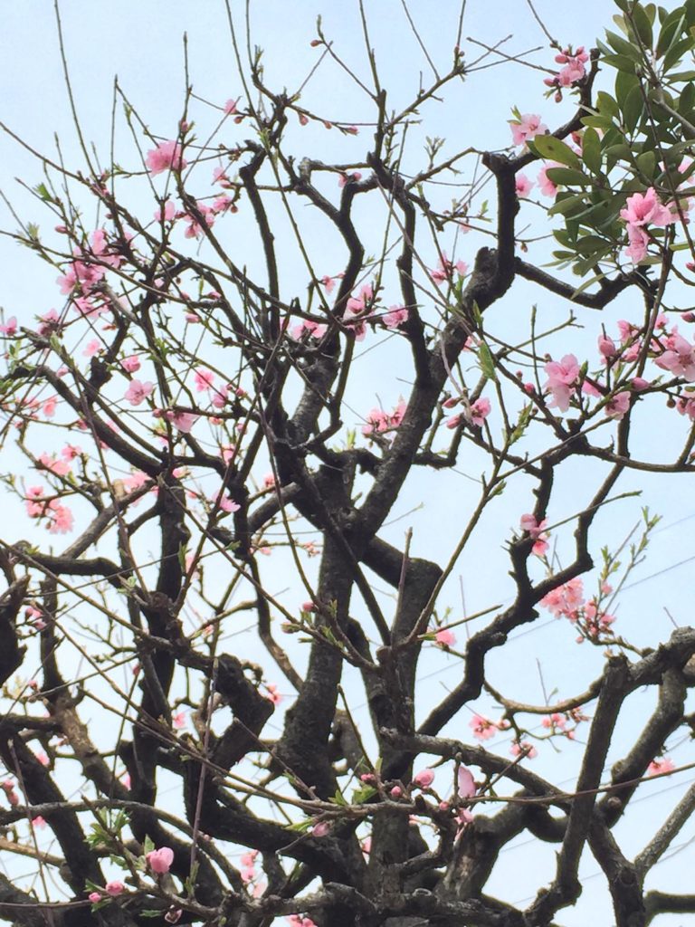 Image 7.png 768x1024